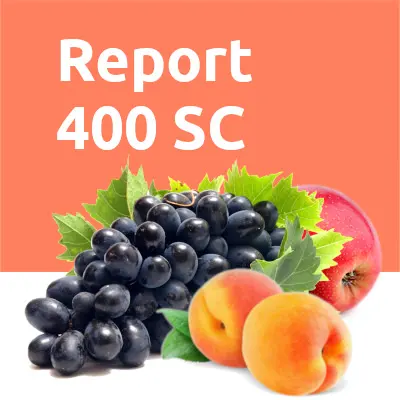 Report 400 SC