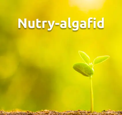 Nutry-algafid