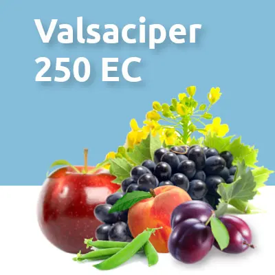 Valsaciper 250 EC