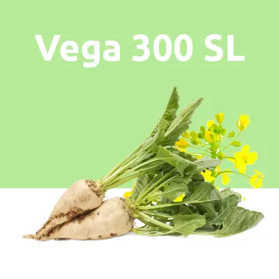 Vega 300 SL