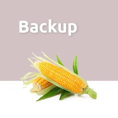Backup