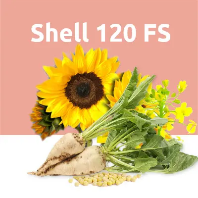 Shell 120 FS