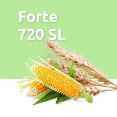 Forte 720 SL