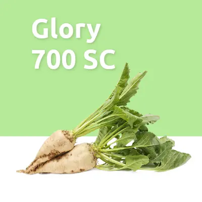 Glory 700 SC