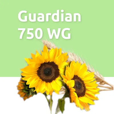 Guardian 750 WG