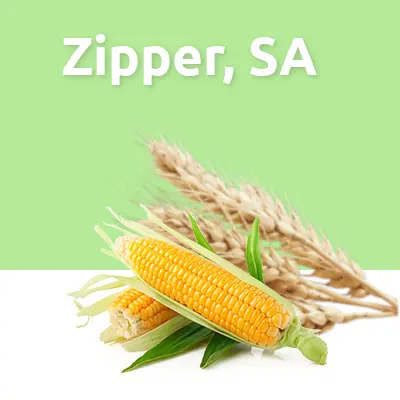 Zipper, SA