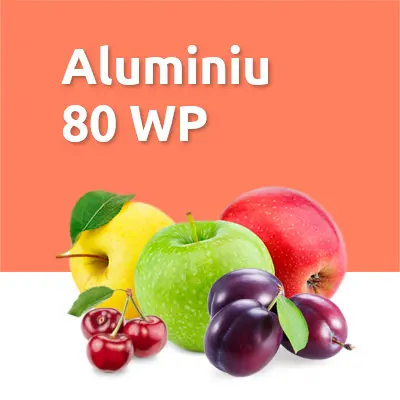 Aluminium 80 WP