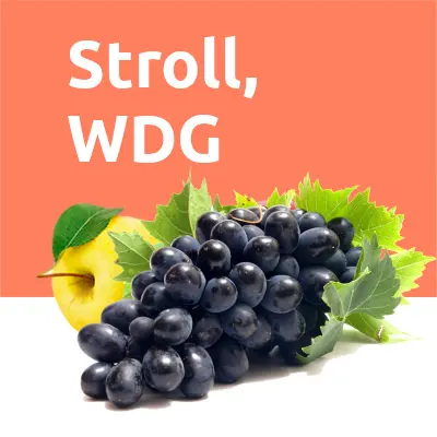 STROLL, WDG