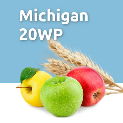 Michigan 20 WP