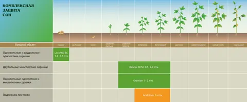 Scheme de protectie Soia
