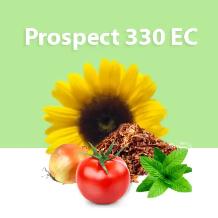 Prospect 330 EC