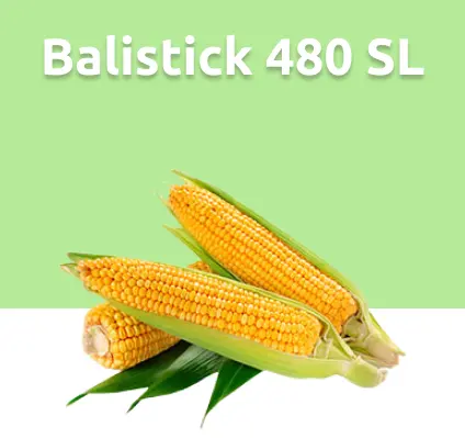 Balistick 480 SL