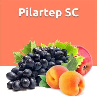 Pilartep SC