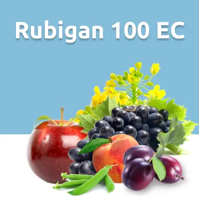 Rubigan 100 EC