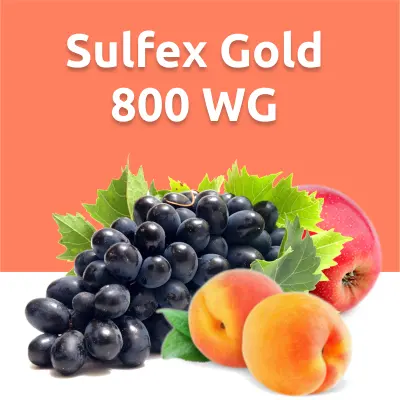 Sulfex Gold 800 WG