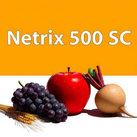 Netrix 500 SC