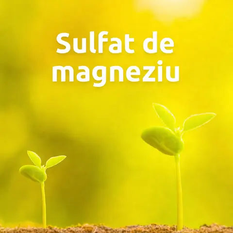 Sulfat de Magneziu
