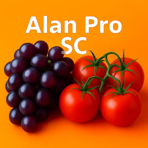Alan Pro SC