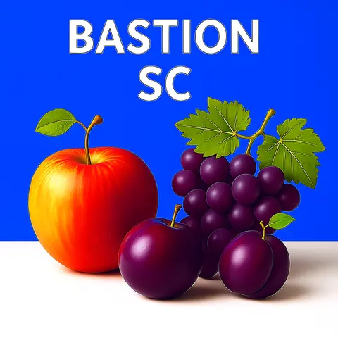 BASTION SC