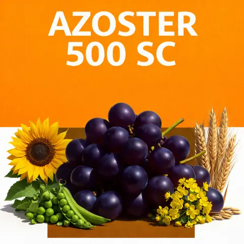 AZOSTER 500 SC