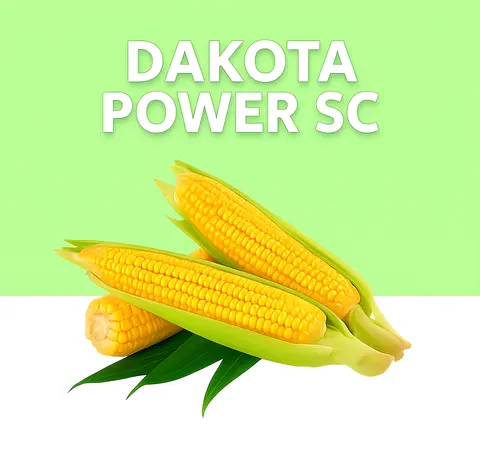 Dakota Power SC