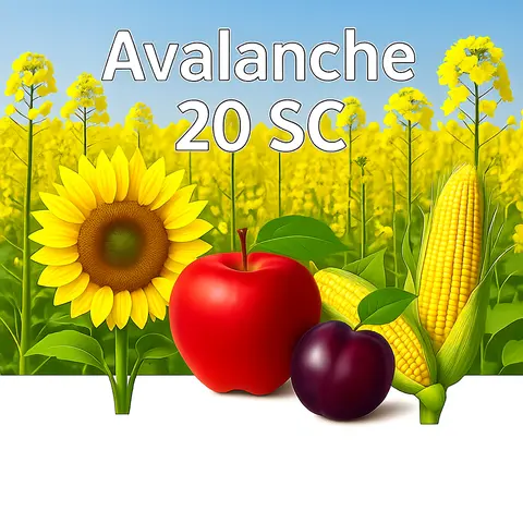 Avalanche 20 SC
