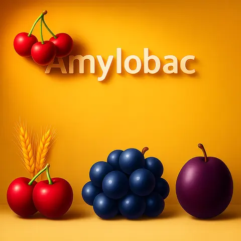 Amylobac